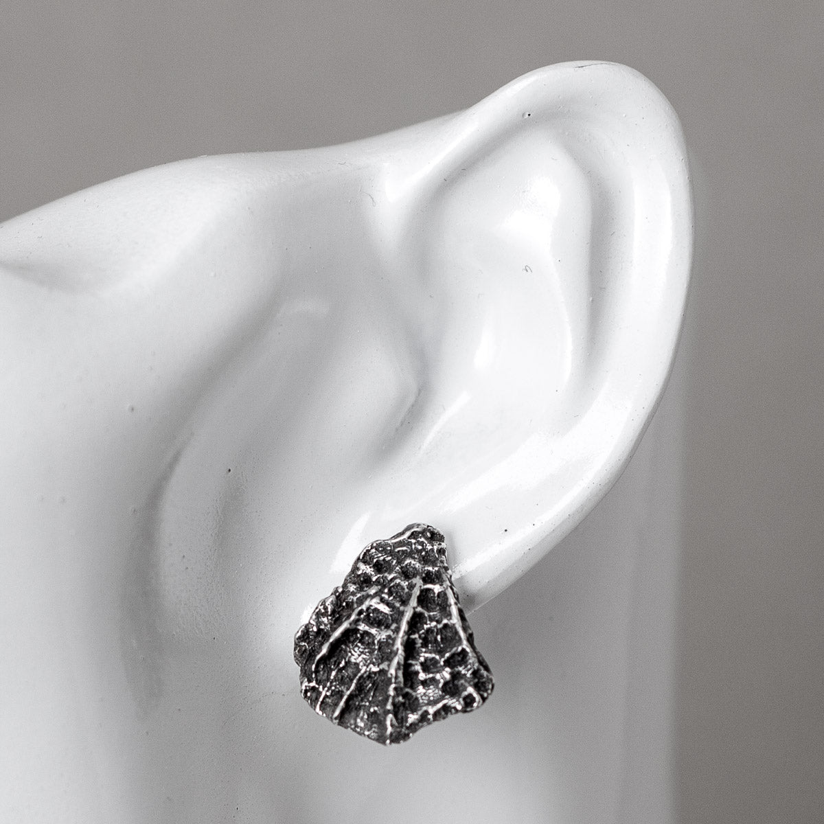 Fan Coral Stud Earrings - Oxidised Silver by Silverfish