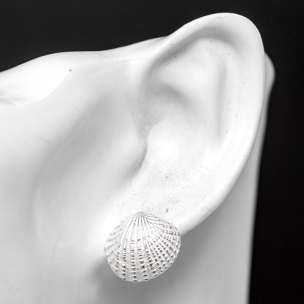 Thai Cockle Stud Earrings - Silver by Silverfish