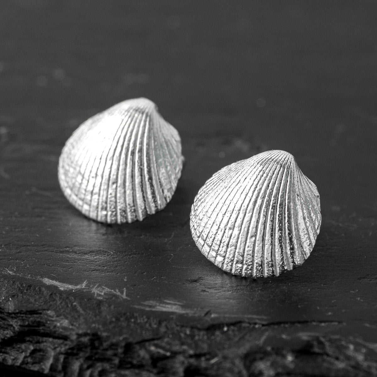 Isles of Scilly Cockle Stud Earrings - Silver by Silverfish