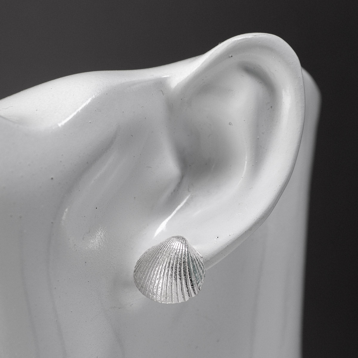 Isles of Scilly Cockle Stud Earrings - Silver by Silverfish