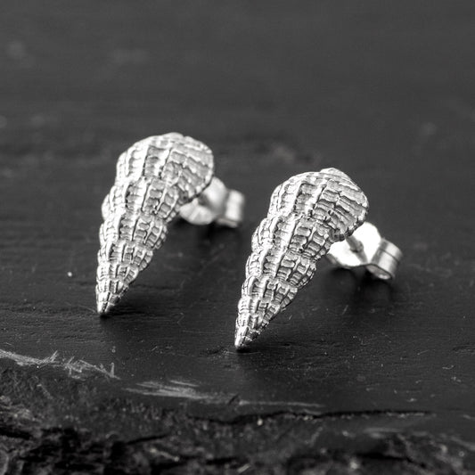 Thai Conch Stud Earrings - Silver by Silverfish Jewellery