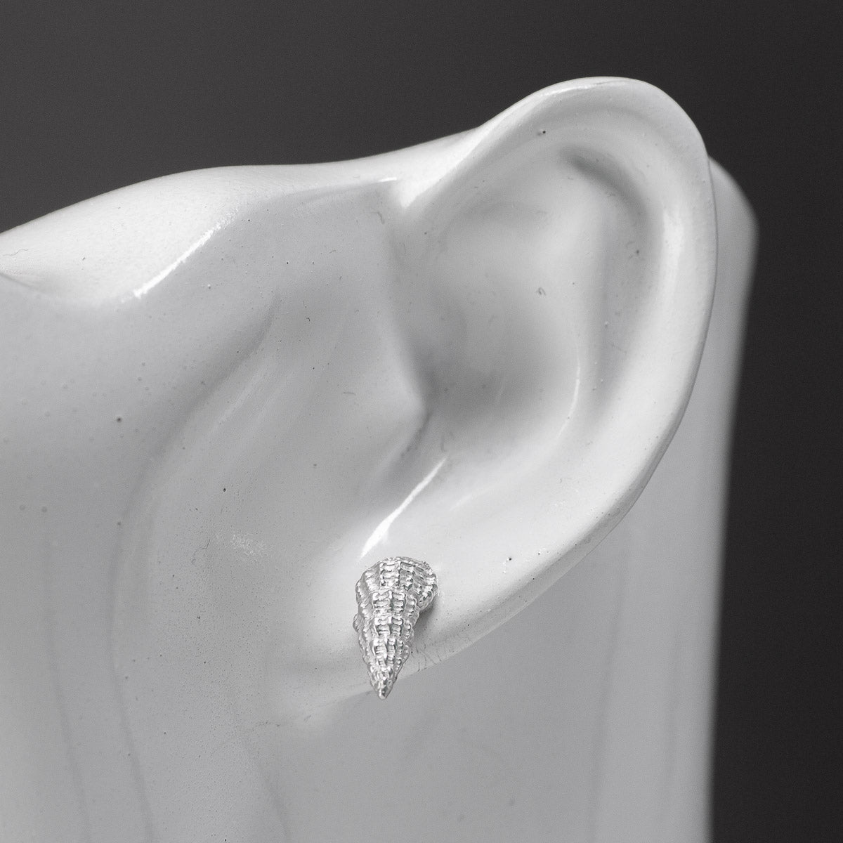 Thai Conch Stud Earrings - Silver by Silverfish Jewellery