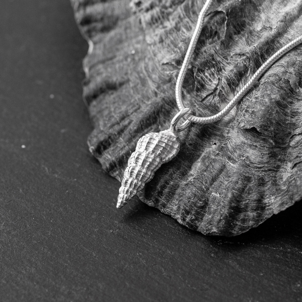 Thai Conch Pendant - Silver by Silverfish